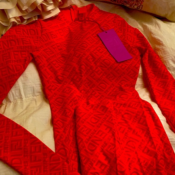 Brand new fendi skims one piece.. rare & SOLD OUT - Picture 1 of 4